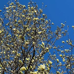 Meet your Posher, Vas